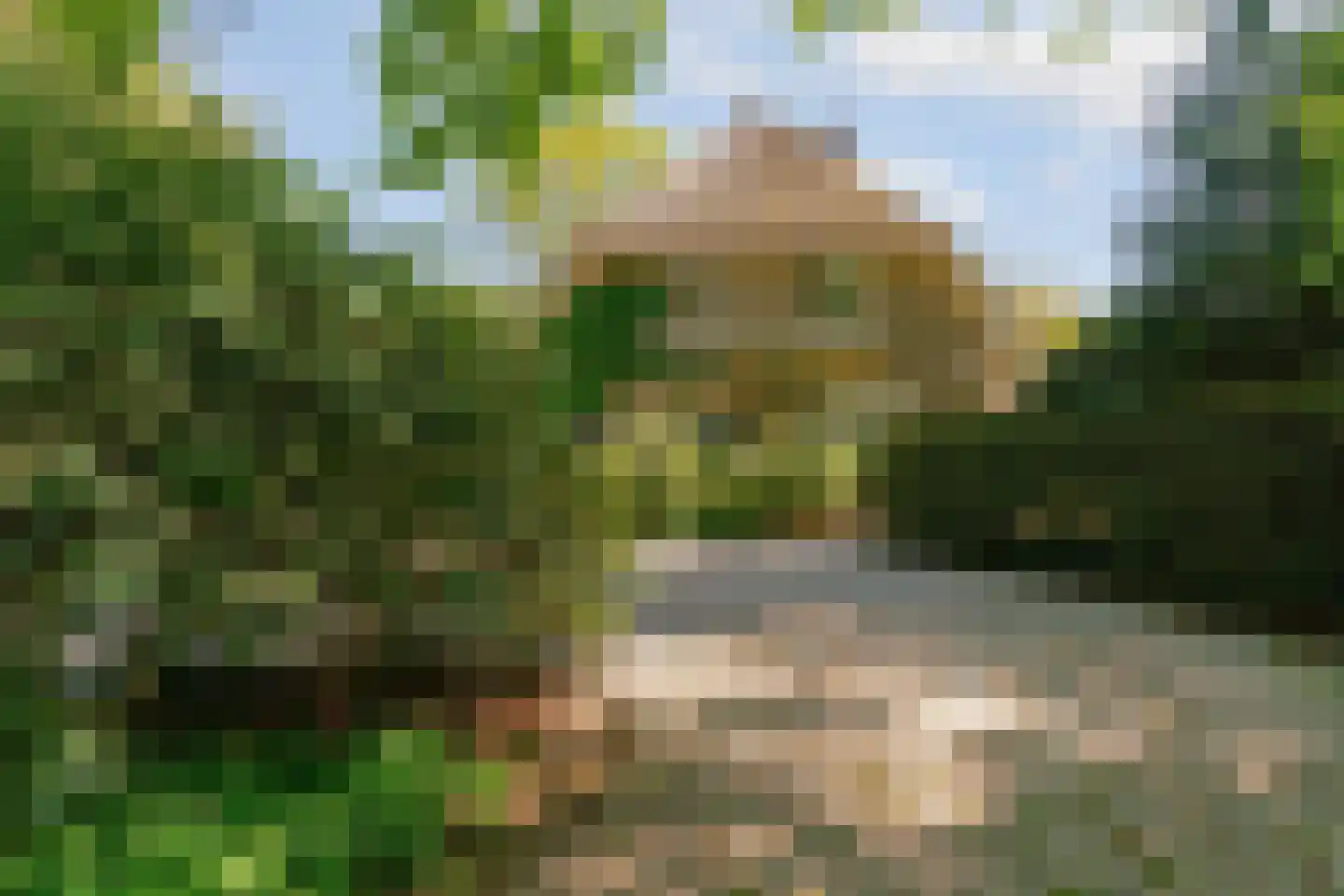 Hogeweg 6 Berg en Dal thumbnail 7