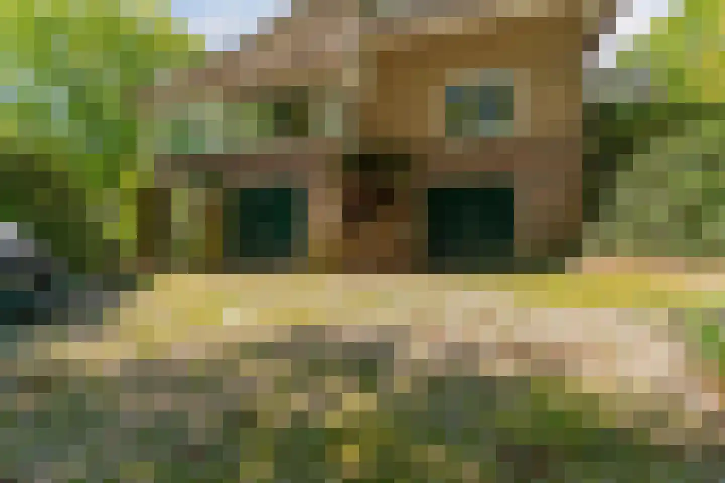 Hogeweg 6 Berg en Dal thumbnail 70