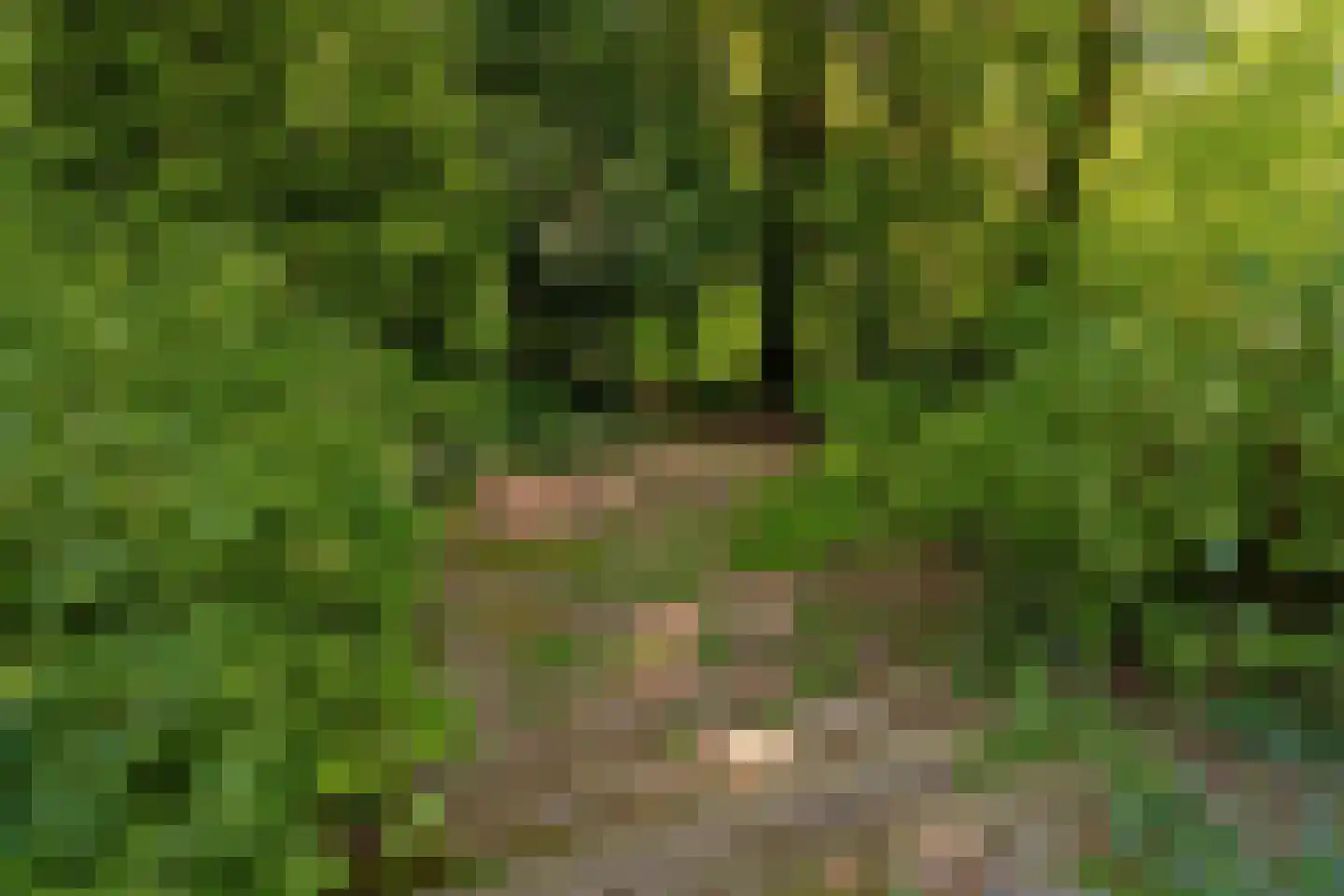 Hogeweg 6 Berg en Dal thumbnail 71