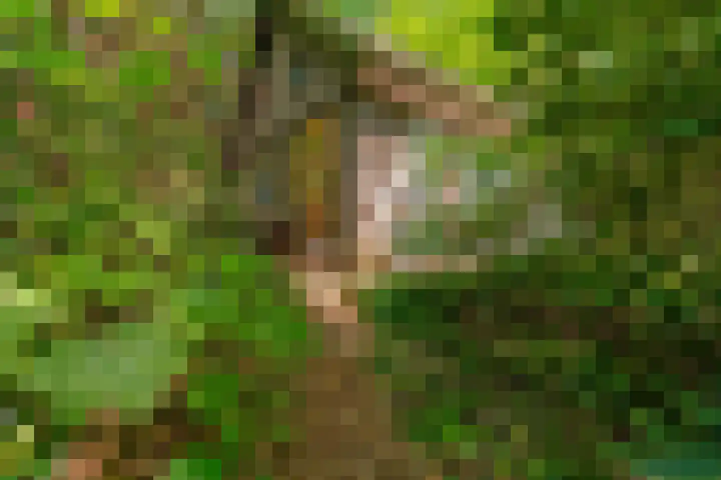Hogeweg 6 Berg en Dal thumbnail 72