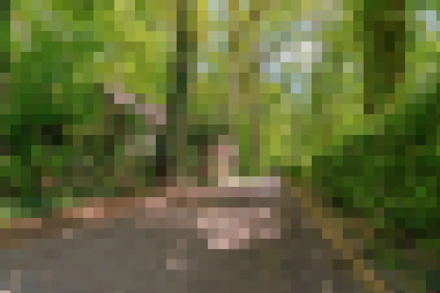 Hogeweg 6 Berg en Dal thumbnail 74