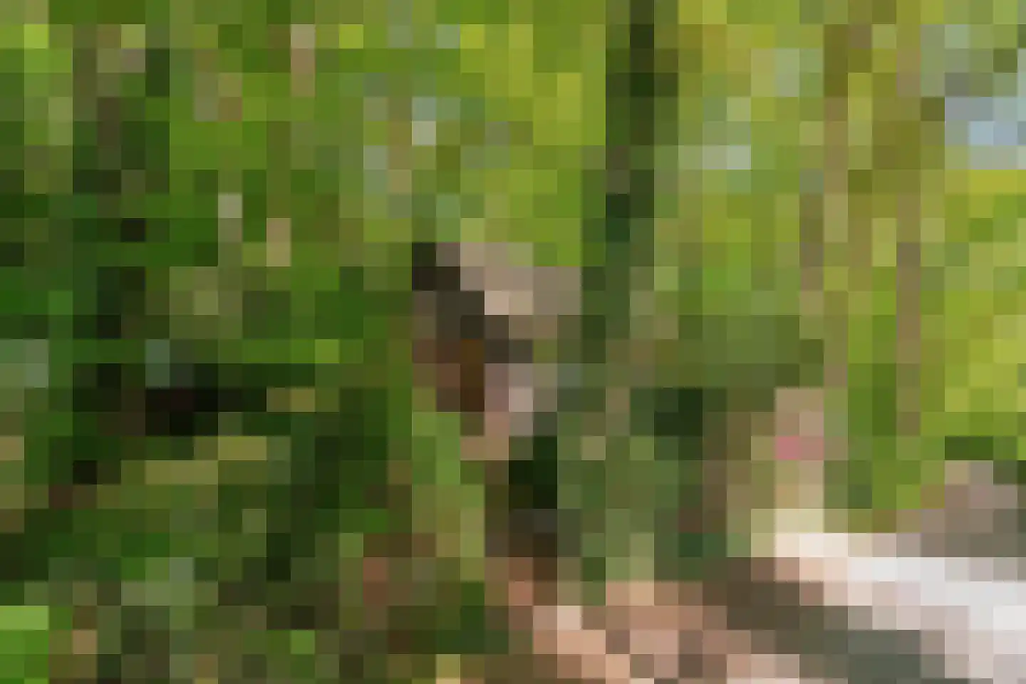 Hogeweg 6 Berg en Dal thumbnail 75