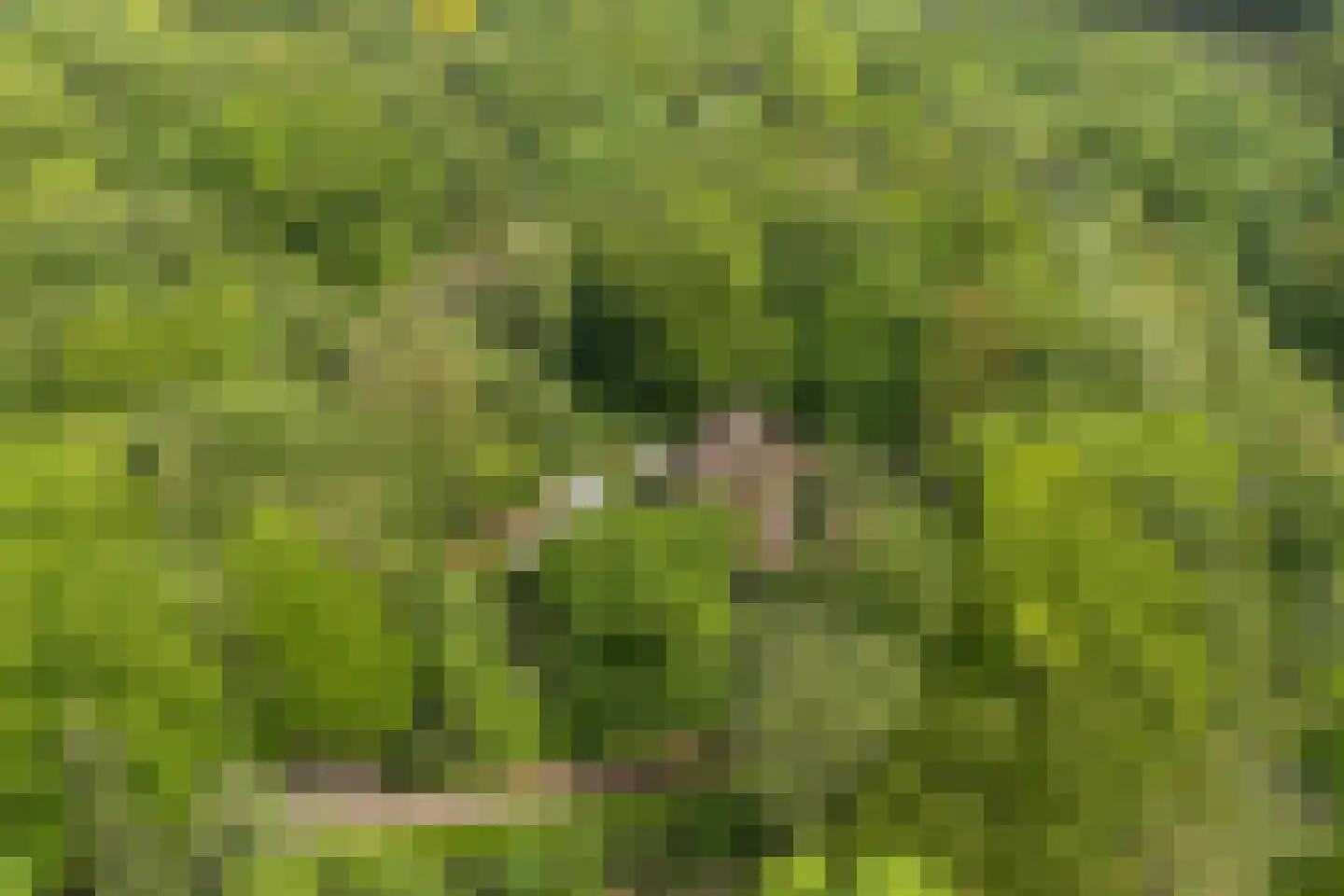 Hogeweg 6 Berg en Dal thumbnail 79