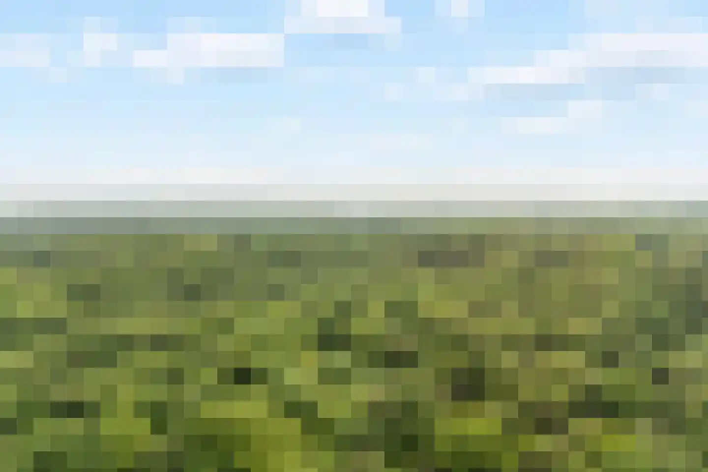 Hogeweg 6 Berg en Dal thumbnail 85
