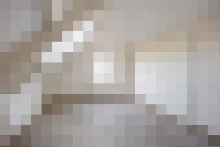 Hogeweg 6 Den Horn thumbnail 31