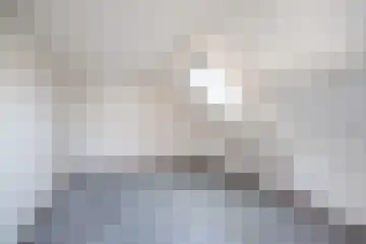 Hogeweg 6 Den Horn thumbnail 32
