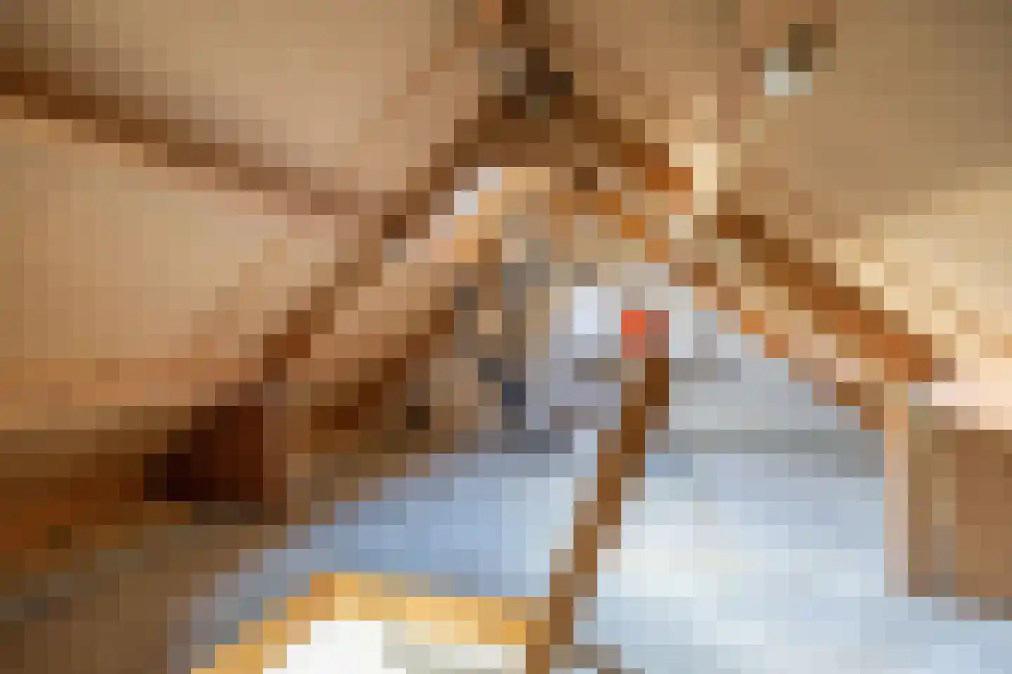 Hogeweg 6 Den Horn thumbnail 42
