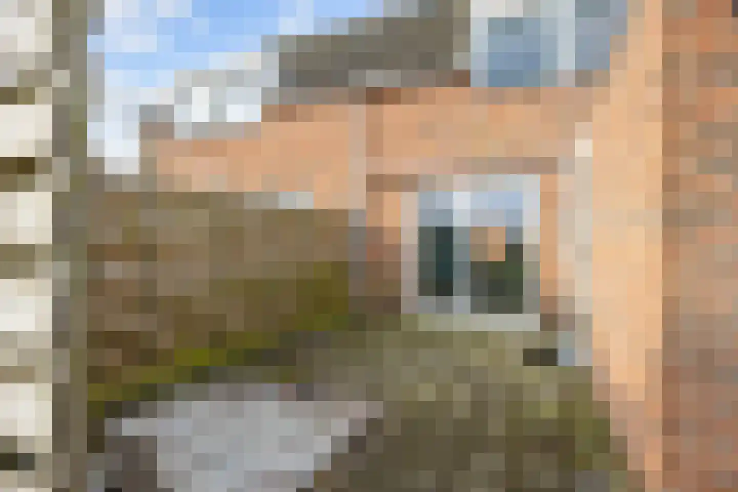 Hogeweg 6 Den Horn thumbnail 43