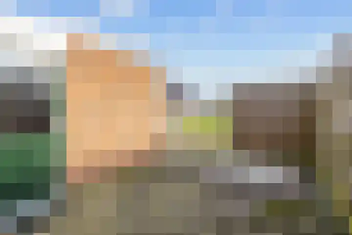 Hogeweg 6 Den Horn thumbnail 44