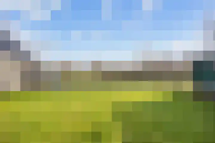 Hogeweg 6 Den Horn thumbnail 47