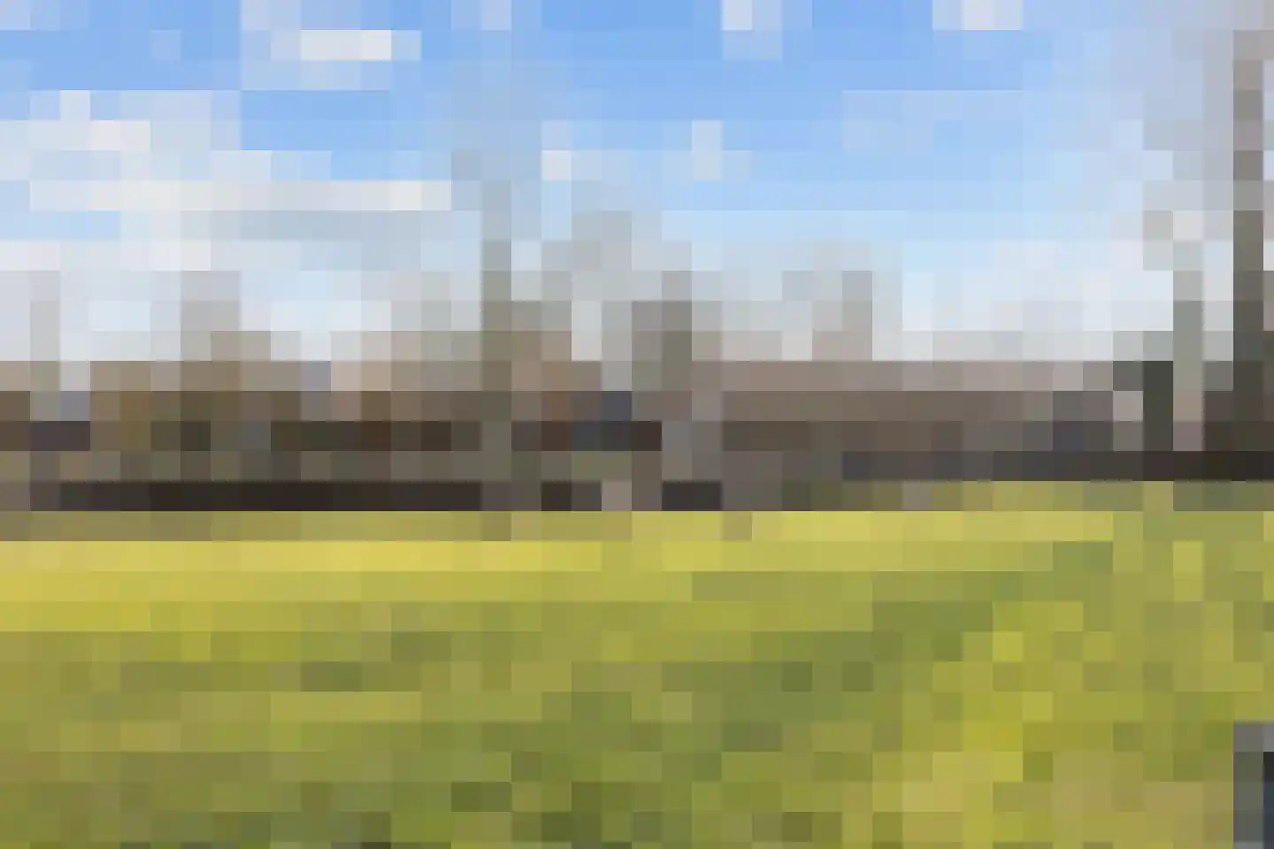 Hogeweg 6 Den Horn thumbnail 49