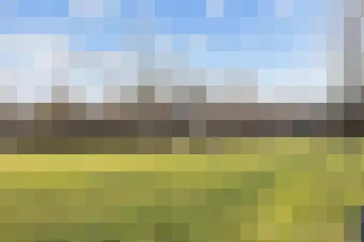 Hogeweg 6 Den Horn thumbnail 49