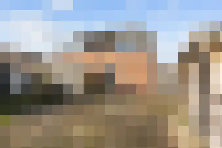 Hogeweg 6 Den Horn thumbnail 54