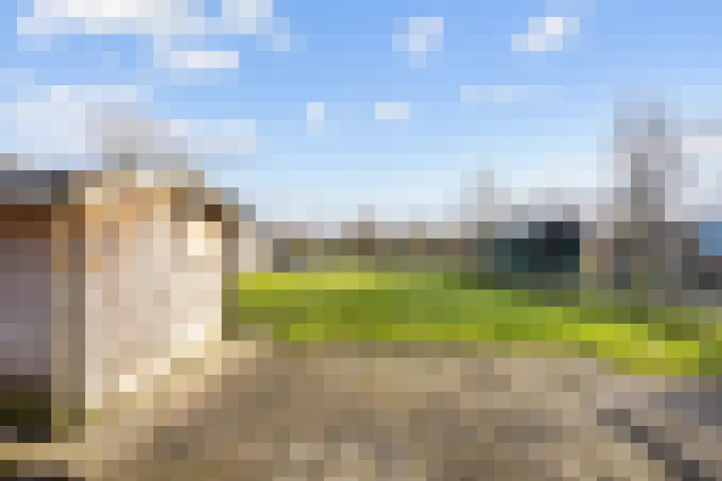 Hogeweg 6 Den Horn thumbnail 55