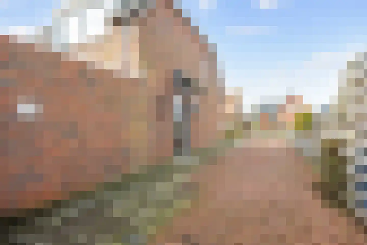 Hogeweg 6 Den Horn thumbnail 9