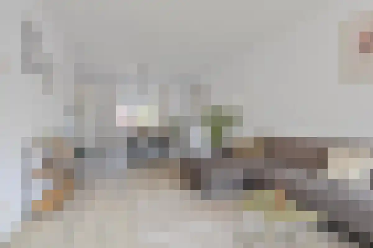 Hogeweg 61 zw Zandvoort thumbnail 6