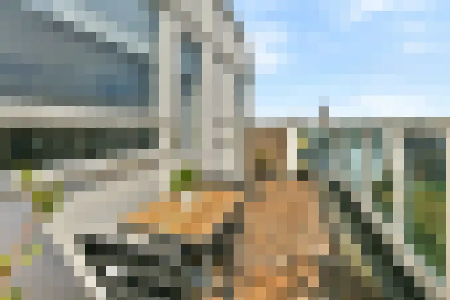 Hogeweg 62 F 12 Zandvoort thumbnail 17