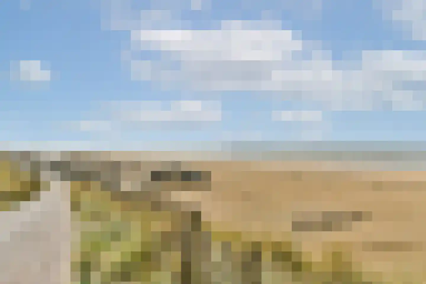 Hogeweg 62 F 14 Zandvoort thumbnail 23