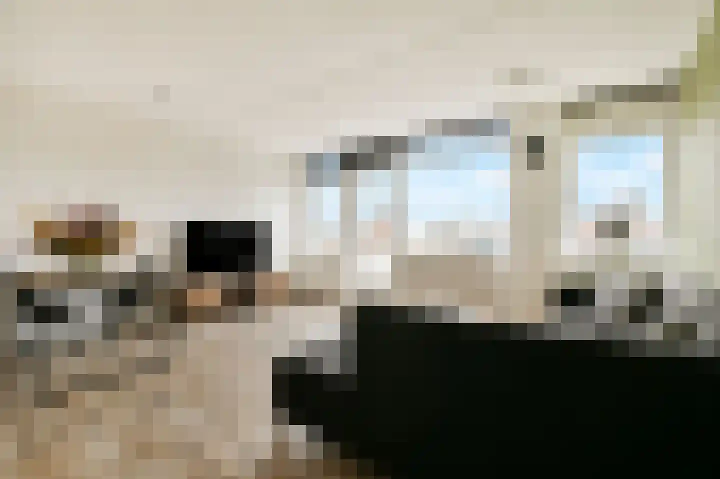 Hogeweg 62 F 14 Zandvoort thumbnail 7