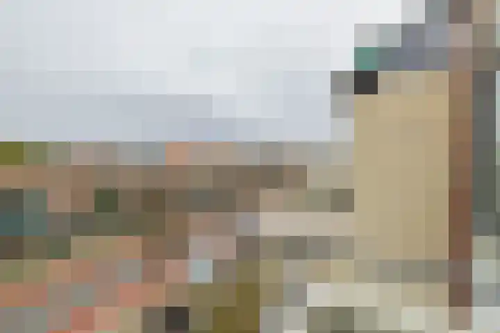 Hogeweg 62 F 9 Zandvoort thumbnail 30