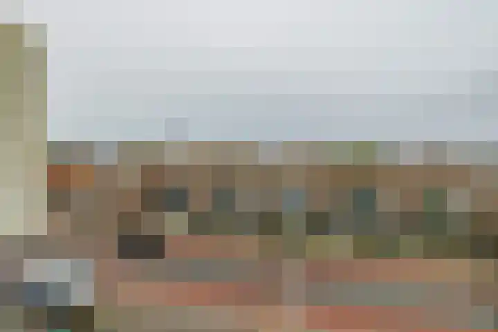 Hogeweg 62 F 9 Zandvoort thumbnail 31