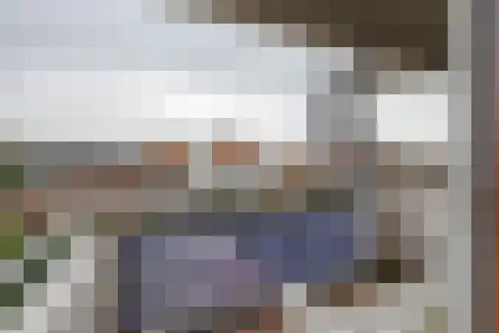 Hogeweg 62 F 9 Zandvoort thumbnail 33