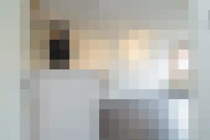 Hogeweg 62 F 9 Zandvoort thumbnail 9