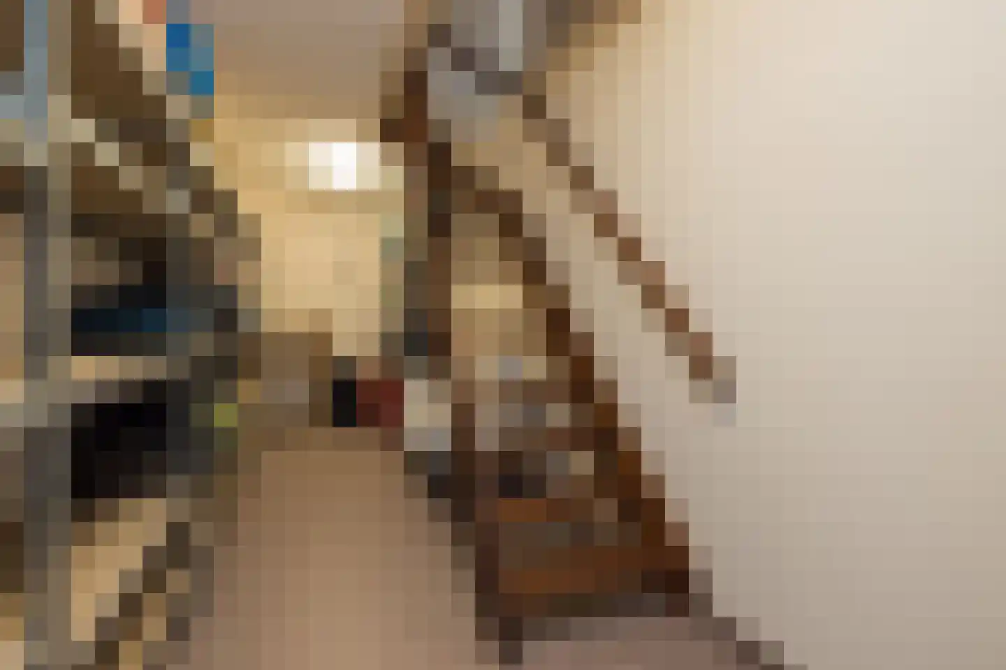 Hogeweg 63 Noordwijk thumbnail 8