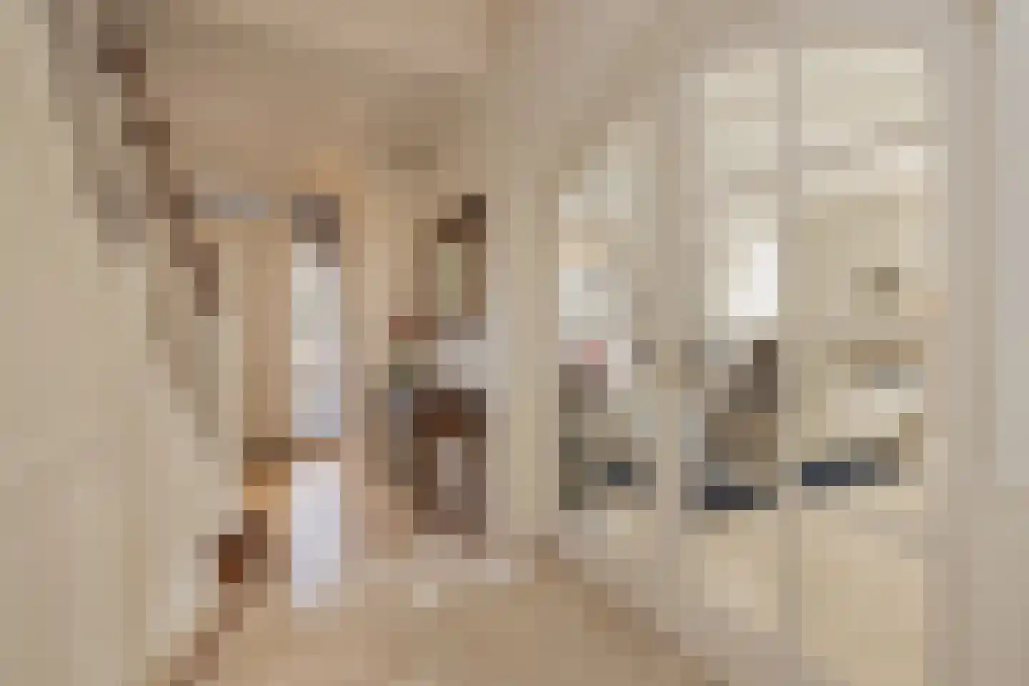 Hogeweg 63 Noordwijk thumbnail 9
