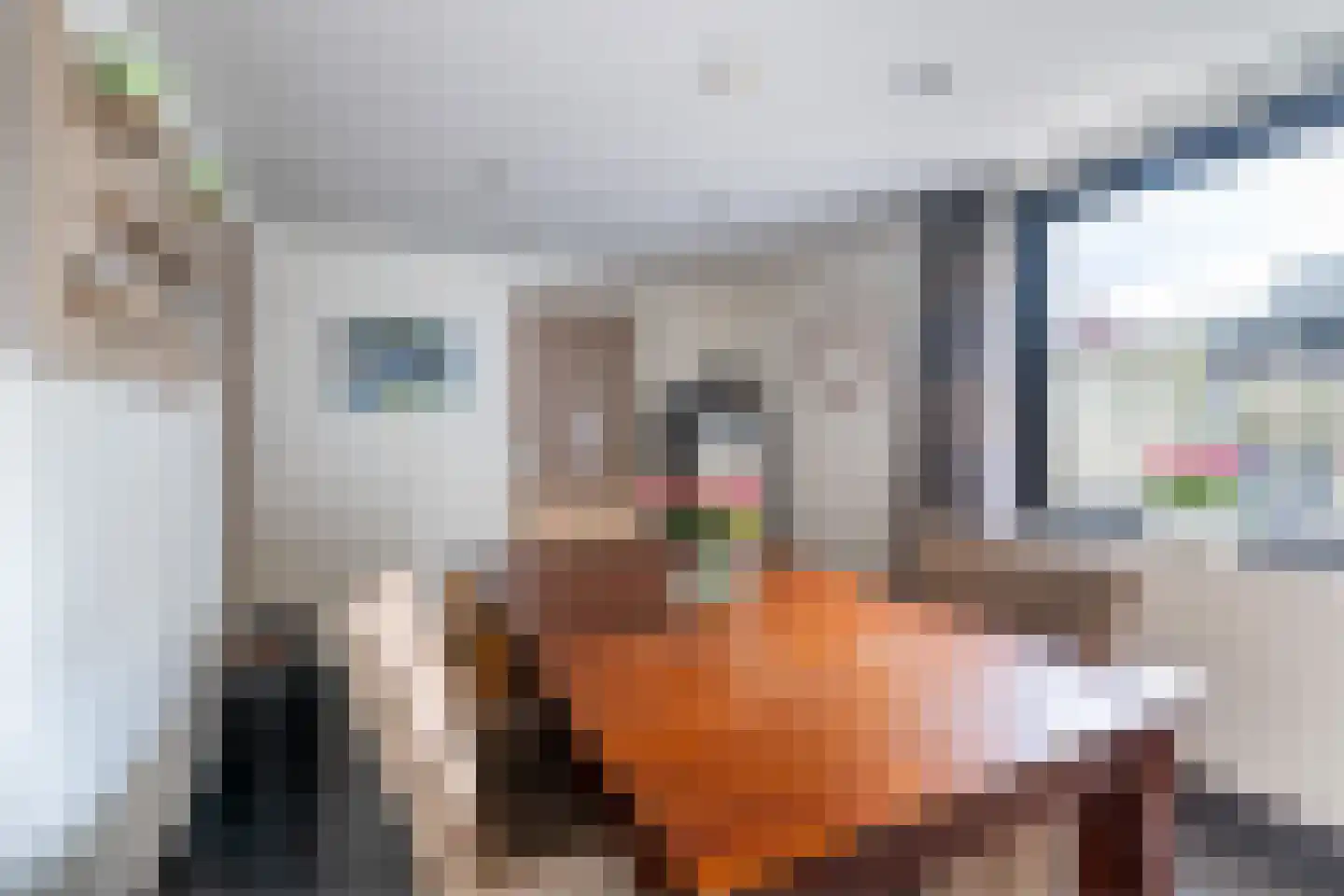 Hogeweg 63 Voerendaal thumbnail 13