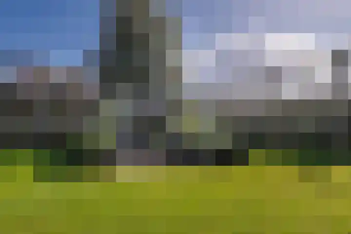 Hogeweg 63 Voerendaal thumbnail 26