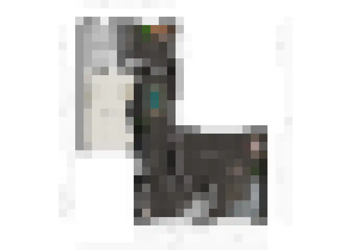 Hogeweg 63 Voerendaal thumbnail 34