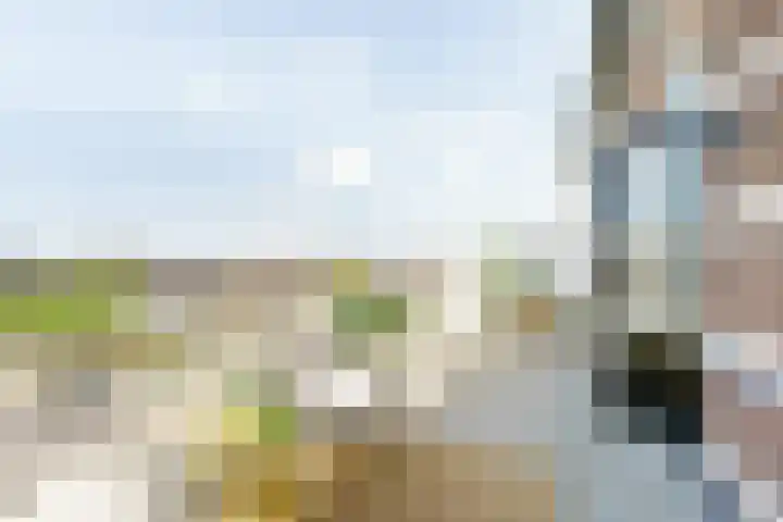 Hogeweg 64 b Zandvoort thumbnail 16