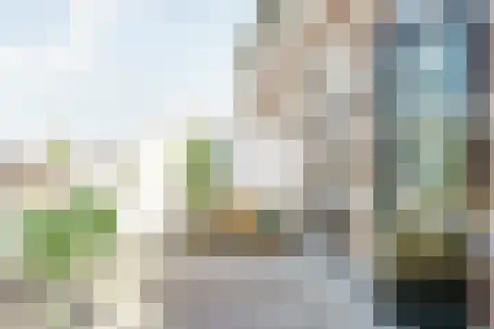 Hogeweg 64 b Zandvoort thumbnail 17