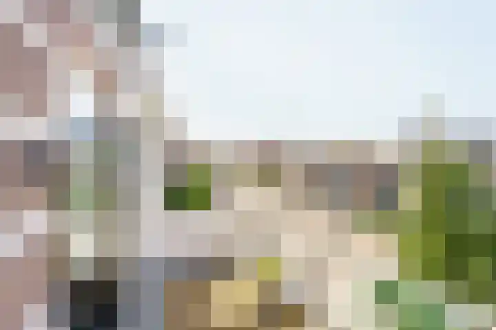 Hogeweg 64 b Zandvoort thumbnail 18