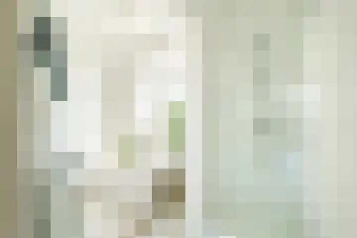 Hogeweg 64 b Zandvoort thumbnail 22