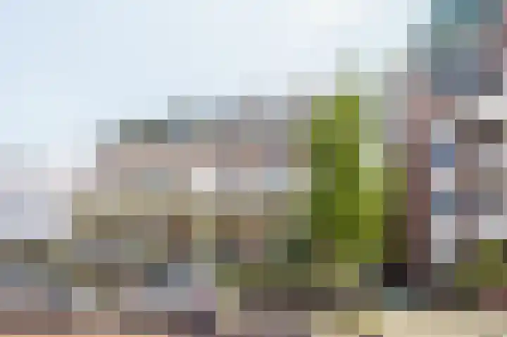 Hogeweg 64 b Zandvoort thumbnail 26