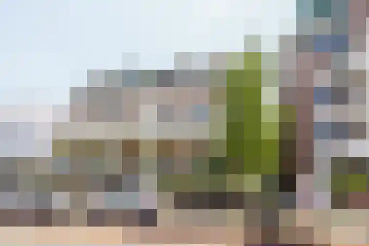 Hogeweg 64 b Zandvoort thumbnail 31