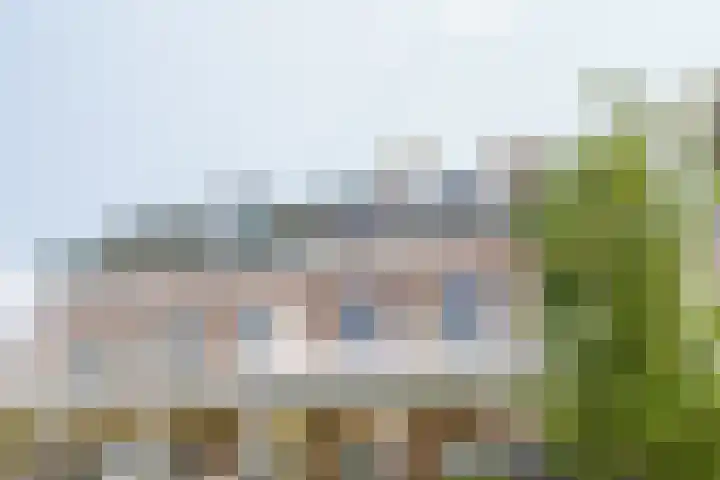 Hogeweg 64 b Zandvoort thumbnail 6