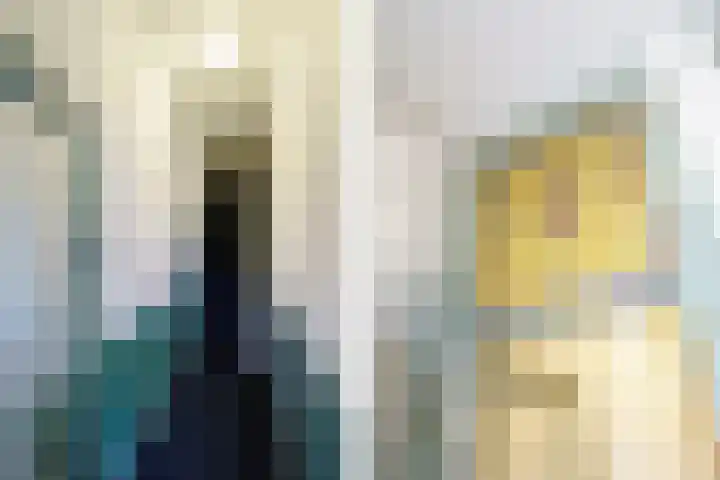 Hogeweg 64 b Zandvoort thumbnail 7