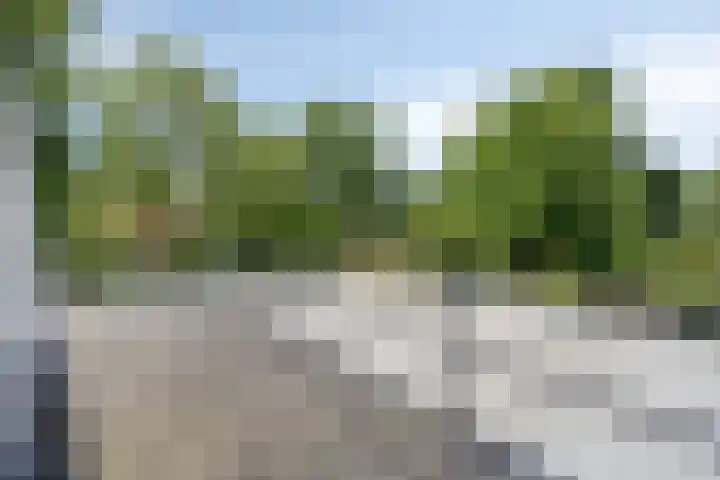 Hogeweg 64 Burgh-Haamstede thumbnail 24