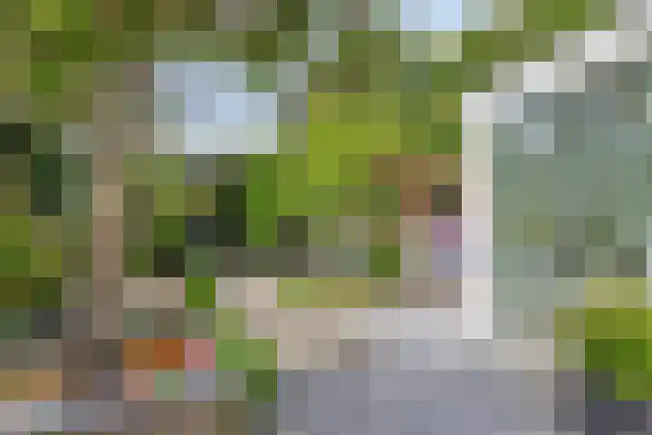 Hogeweg 64 Burgh-Haamstede thumbnail 27