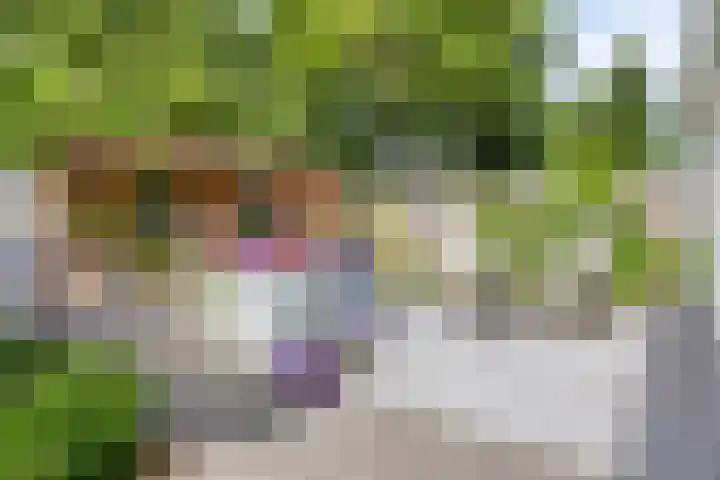 Hogeweg 64 Burgh-Haamstede thumbnail 28