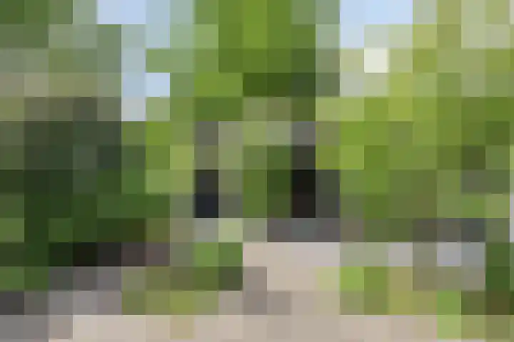 Hogeweg 64 Burgh-Haamstede thumbnail 29