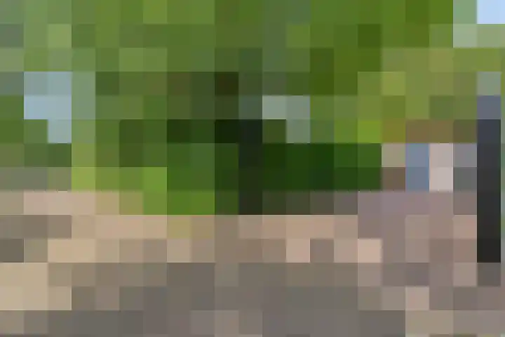 Hogeweg 64 Burgh-Haamstede thumbnail 31