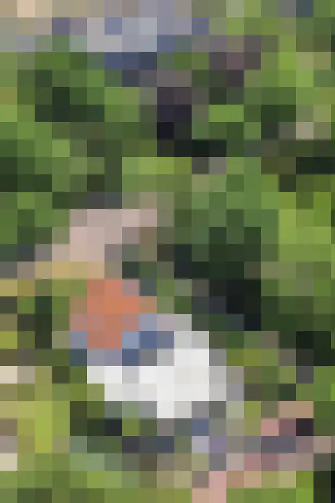 Hogeweg 64 Burgh-Haamstede thumbnail 32