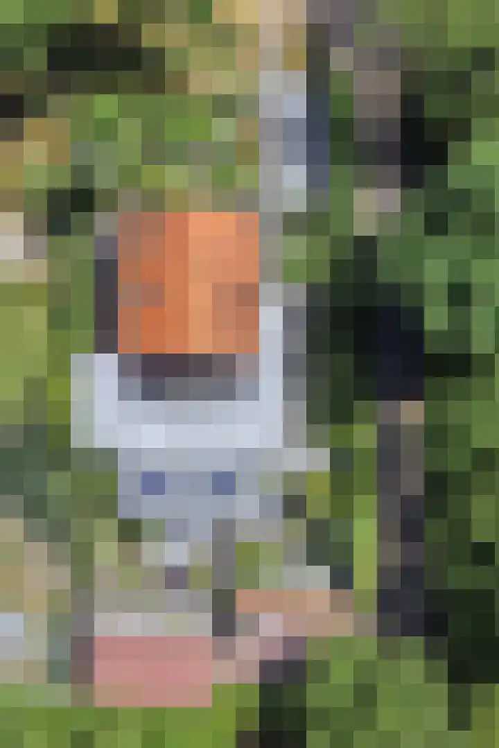Hogeweg 64 Burgh-Haamstede thumbnail 33
