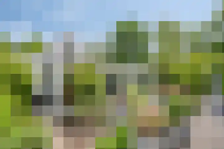 Hogeweg 64 Burgh-Haamstede thumbnail 4