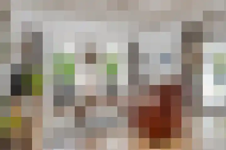 Hogeweg 64 Burgh-Haamstede thumbnail 5