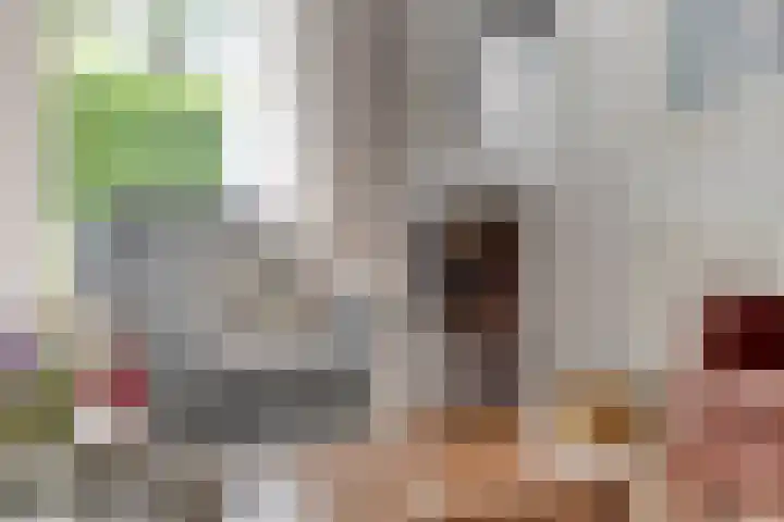 Hogeweg 64 Burgh-Haamstede thumbnail 7